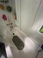 204 Chestnut Street - Photo 13