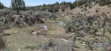 5846 St Hwy 140 - Photo 12
