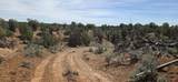 5846 St Hwy 140 - Photo 18