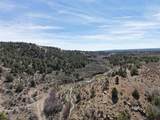 5846 St Hwy 140 - Photo 9