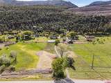 5172 County Road 203 - Photo 6