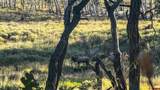000 County Road M44 - Photo 26
