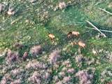 000 County Road M44 - Photo 5