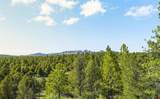 287 Wildcat Trail - Photo 44