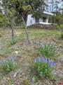 2326 Celadon Drive East - Photo 11