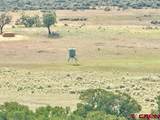 Highway 96 & 112 Highway - Photo 11