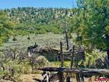 Highway 96 & 112 Highway - Photo 15