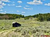Highway 96 & 112 Highway - Photo 16