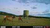 Highway 96 & 112 Highway - Photo 2
