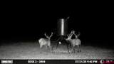 Highway 96 & 112 Highway - Photo 3