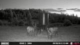 Highway 96 & 112 Highway - Photo 4
