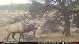 Highway 96 & 112 Highway - Photo 7