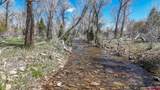 TBD County Road 122A - Photo 10