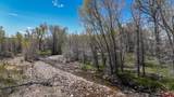 TBD County Road 122A - Photo 11