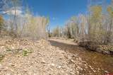 TBD County Road 122A - Photo 20