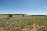 TBD County Road 122A - Photo 25