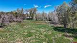 TBD County Road 122A - Photo 6
