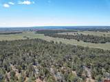 TBD County Road 122A - Photo 7