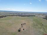 TBD County Road 122A - Photo 8