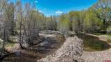 TBD County Road 122A - Photo 9