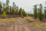 TBD County Rd. 240 - Photo 20