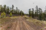 TBD County Rd. 240 - Photo 21