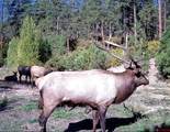 TBD County Rd. 240 - Photo 24