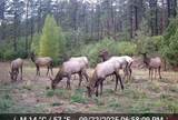 TBD County Rd. 240 - Photo 25