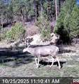 TBD County Rd. 240 - Photo 26