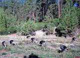 TBD County Rd. 240 - Photo 27