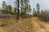 TBD County Rd. 240 - Photo 31