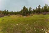 TBD County Rd. 240 - Photo 38