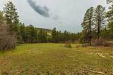 TBD County Rd. 240 - Photo 39