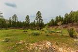 TBD County Rd. 240 - Photo 40