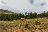 TBD County Rd. 240 - Photo 41