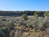 1177 County Road 119A - Photo 11