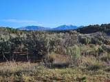 1177 County Road 119A - Photo 12