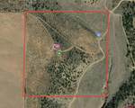 1177 County Road 119A - Photo 15