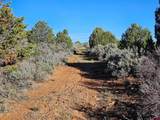 1177 County Road 119A - Photo 7