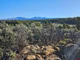 1177 County Road 119A - Photo 8