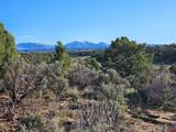 1177 County Road 119A - Photo 9
