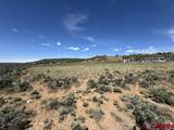 2178 County Road 309A - Photo 9