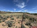 2178 County Road 309A - Photo 10