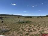 2178 County Road 309A - Photo 11