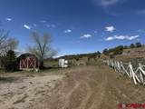 2178 County Road 309A - Photo 5