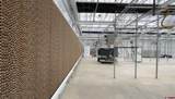 17 Dana Drive - Photo 18