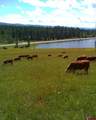 47632 Highway 550 - Photo 40
