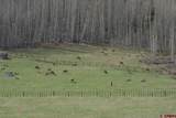 47632 Highway 550 - Photo 9