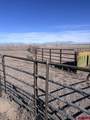 1099 County Road 11 - Photo 32