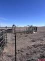 1099 County Road 11 - Photo 40